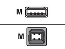 Zebra USB-Kabel - USB (M) zu USB Typ B (M)