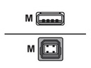 Zebra USB-Kabel - USB (M) zu USB Typ B (M)