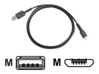 Zebra USB-Kabel - USB (M) zu Micro-USB Typ B (M)
