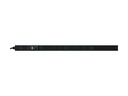 APC Easy Metered Rack PDU EPDU1216M - Stromverteilungseinheit (Rack - einbaufähig)