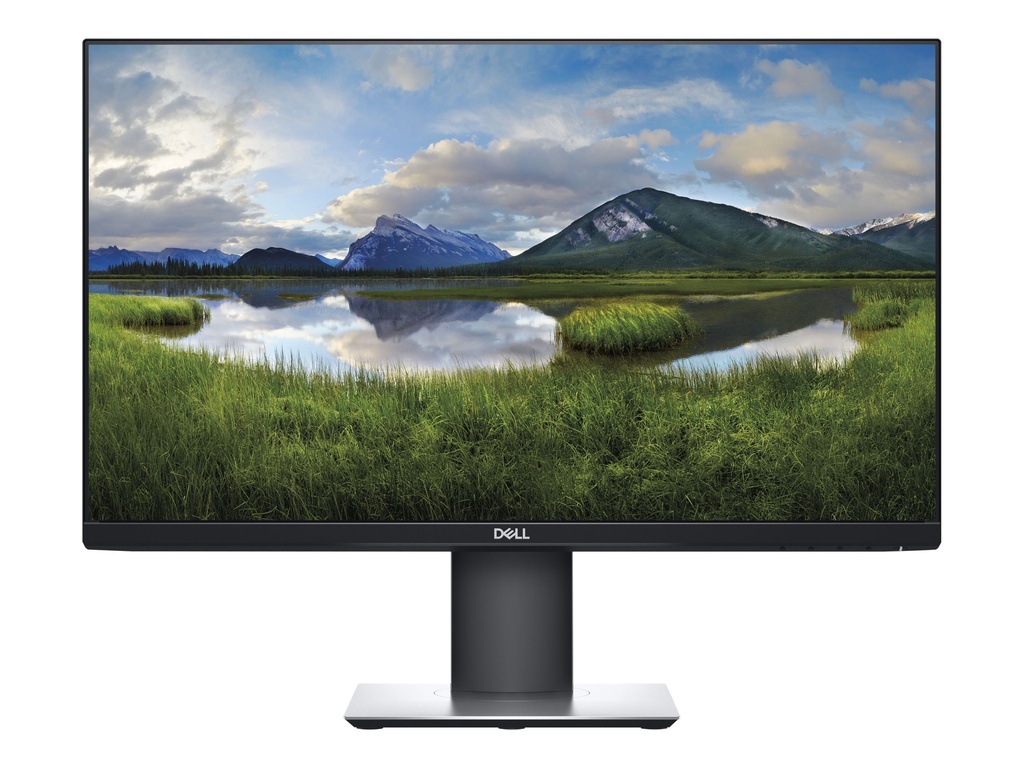 Dell 24 Monitor P2419H - Flachbildschirm (TFT/LCD) - 61 cm