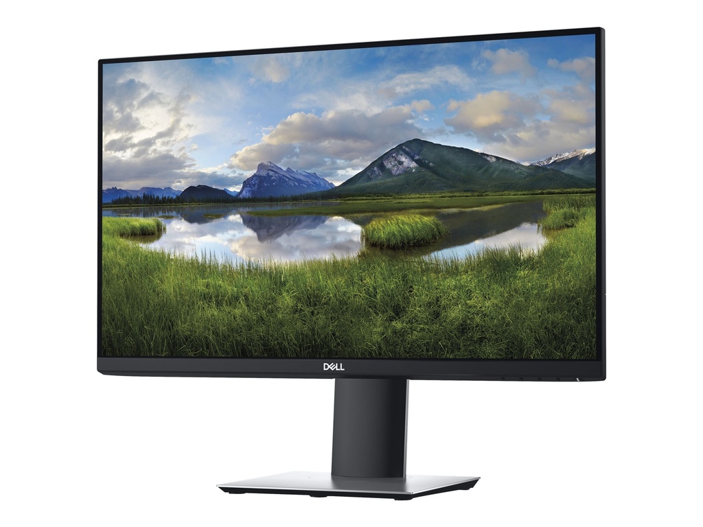 Dell P2419H - LED-Monitor - 61 cm (24") (23.8" sichtbar)