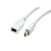 Synergy 21 Kabel Video DisplayPort Mini 1.1> Mini BU/ST - Kabel - Digital/Display/Video