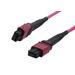 [S216786] Synergy 21 S216786 - 1 m - OM4 - MTP - MTP - Kabel - Netzwerk