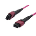 [S216785] Synergy 21 LWL-MTP-Female Patchkabel OM4 LowLoss ELite 12 Faser Typ B crossed erika-violett - Netzwerk - 0,5 m - Kabel - Netzwerk