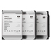 [HAS5300-8T] Synology HAS5300 - Festplatte - 8 TB - intern - 3.5" (8.9 cm)
