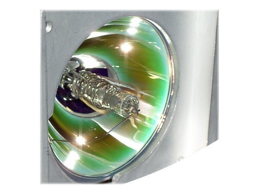 [EC.J4800.001] Acer Projektorlampe - 250 Watt - für PD 528