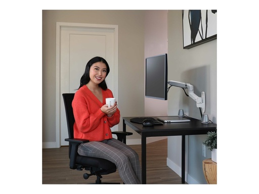 [45-243-216] Ergotron LX - Befestigungskit (Monitorarm) - für LCD-Display - Aluminium - weiß - Bildschirmgröße: bis zu 86,4 cm (bis zu 34 Zoll)