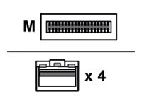 [7Z57A03564] Lenovo Breakout - 100GBase-CU Kabel zur direkten Befestigung