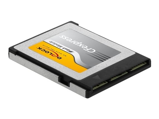 [54066] Delock Flash-Speicherkarte - 256 GB - CFexpress