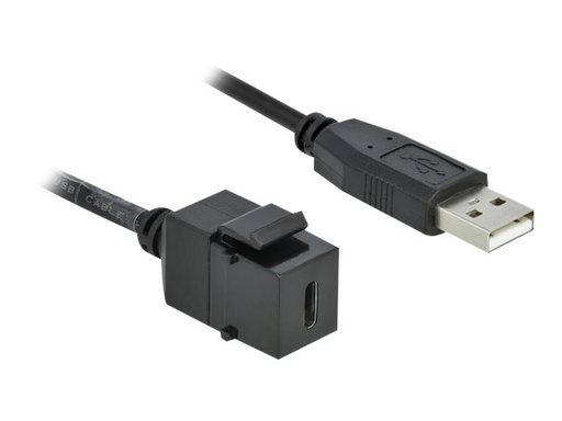 [86378] Delock Modulare Eingabe - USB Typ C - Schwarz