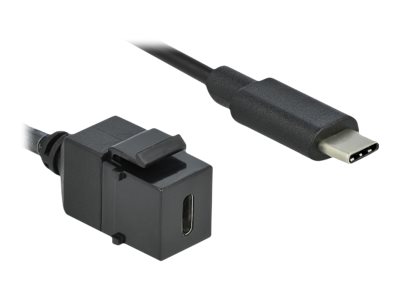 [86398] Delock Modulare Eingabe - USB Typ C - Schwarz
