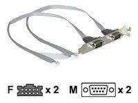 [41791] Delock Serielles Bedienfeld - DB-9 (M) zu 10 PIN IDC (W)