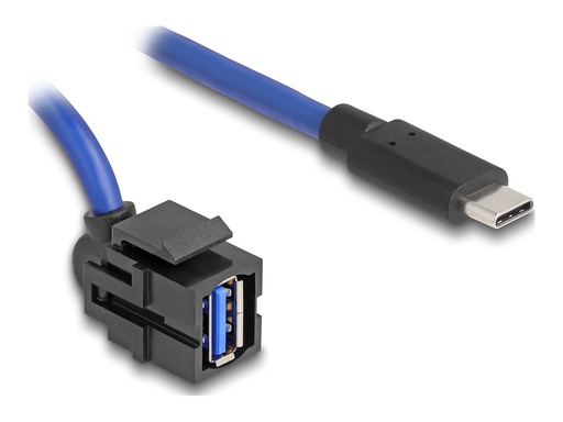 [88156] Delock USB-Kabel - 24 pin USB-C (M) gerade zu USB Typ A (W)