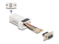 [67105] Delock Serieller Adapter - DB-9 (W) zu RJ-45 (W)