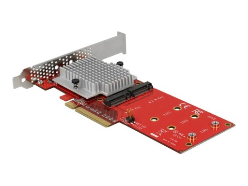 [90305] Delock PCI Express Card > 2 x internal M.2
