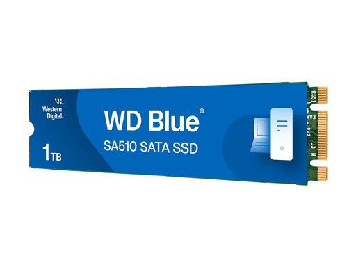 [WDS100T3B0B-00AXS0] WD Blue Sa510 SATA SSD M.2 2280