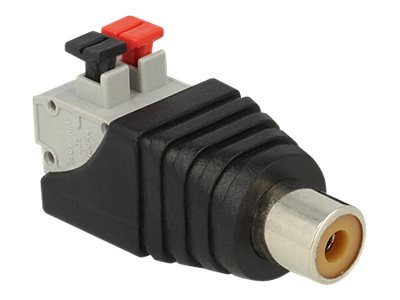 [65565] Delock Audio-Adapter - 2-polige Klemmleiste