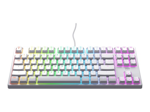 [CX-K4V2-RGB-TKL-R-PO] Cherry XTRFY K4V2 - Tastatur - RGB - 80% - TKL