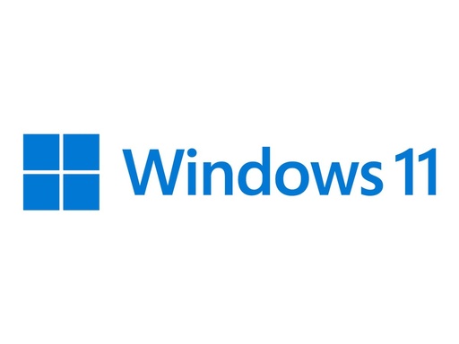 [HZV-00107] Microsoft Windows 11 Pro for Workstations - Lizenz - 1