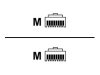 [DK-1617-005-BL-10] DIGITUS Patch-Kabel - RJ-45 (M) zu RJ-45 (M)