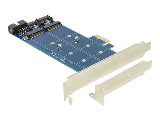 [89374] Delock PCI Express Card > 2 x internal M.2 NGFF
