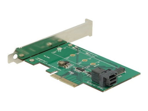 [89517] Delock PCI Express Card > 1 x internal NVMe M.2