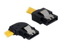 [82825] Delock Cable SATA - SATA-Kabel - Serial ATA 150/300/600 - SATA (W)