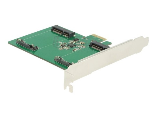 [89479] Delock Speicher-Controller - 2 Sender/Kanal