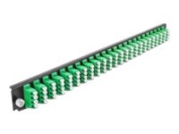 [43370] Delock Rack-Montageblech für Glasfaser-Spleißbox - Vorderseite - LC SM X 24 - grün - 1U - 48.3 cm (19")