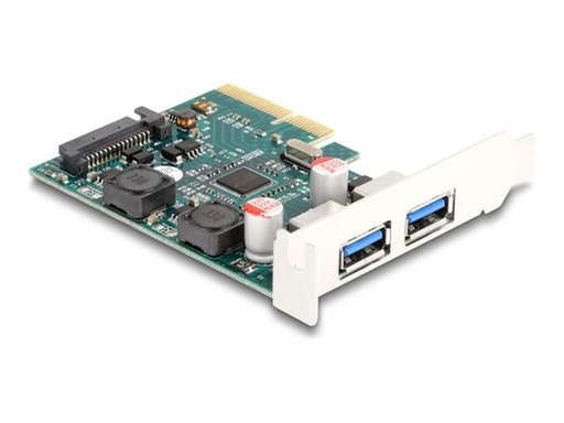 [90106] Delock Riser Card