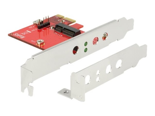 [89889] Delock Speicher-Controller - M.2 - M.2 Card