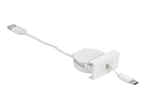 [81318] Delock USB-Kabel - USB (M) zu USB-C (M) - USB 2.0