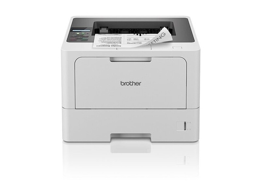 [HLL5215DNRE1] Brother HL-L5215DN - Drucker - s/w - Duplex
