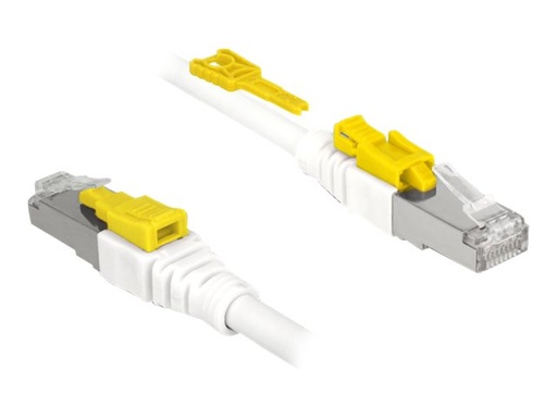 [85331] Delock Secure - Patch-Kabel - RJ-45 (M) zu RJ-45 (M)