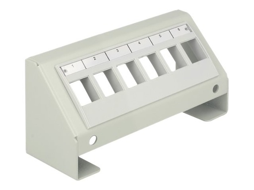[86218] Delock Keystone Multimedia Panel - Oberflächenmontage-Verteilerkasten
