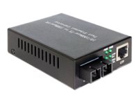 [86216] Delock Medienkonverter - 100Mb LAN - 10Base-T