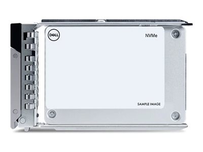 [400-BMTR] Dell  Kunden-Kit - SSD - Rechenzentrum, Leseintensiv - 960 GB - mit Träger - 2.5" (6.4 cm)
