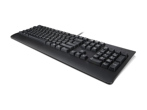 [4Y41R64609] Lenovo Preferred Pro II - Tastatur - full size
