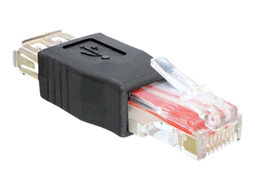 [65234] Delock USB-Adapter - RJ-45 (M) zu USB (W)