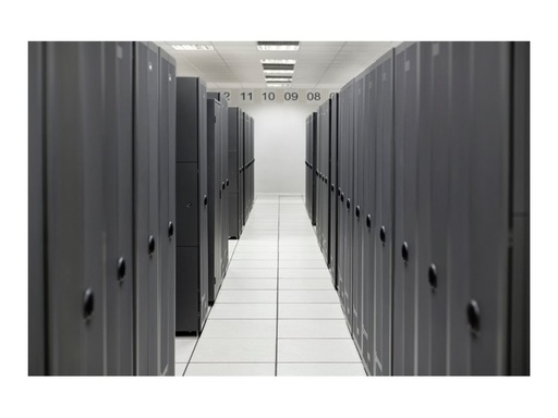 [S6D42AAE] HPE SimpliVity 325 Gen11 - Right-To-Use license (RTU)