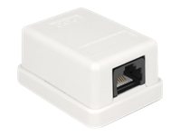 [86248] Delock Wanddose - CAT 6 - UTP - RJ-45 - weiß