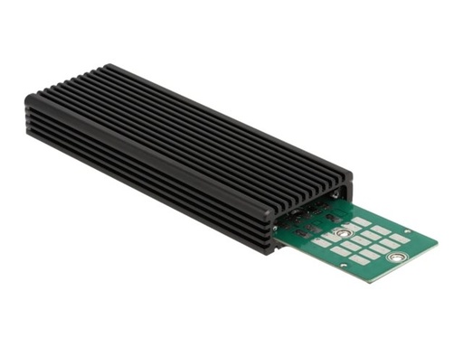 [42004] Delock Speichergehäuse - M.2 - M.2 NVMe Card / SATA 6Gb/s - USB 3.2 (Gen 2)