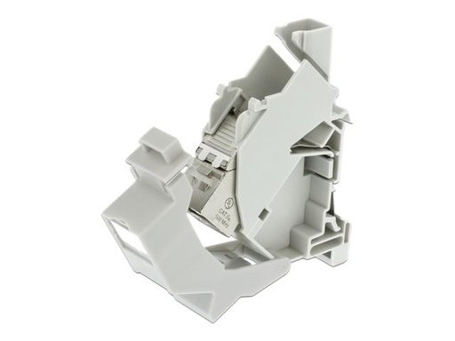[86292] Delock Keystone Mounting for DIN rail with dust