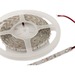 [S21-LED-F00035] Synergy 21 S21-LED-F00035 Neonröhre 300 Lampen Universal strip light Innen/Außen 5 m