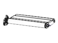 [P1083320-072] Zebra Medientänzer