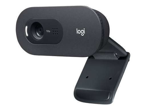 [960-001363] Logitech C505 - Webcam - Farbe - 720p - feste