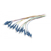 [S215475] Synergy 21 LWL-Pigtail-LC 9/125u 2m OS2 12-Pack farbig Synergy 21 -• Stecker blau• in den Farben: Blau - Braun