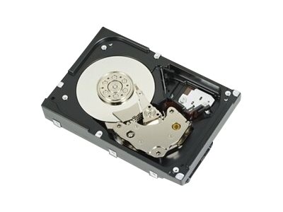 [400-BBFI] Dell 400-BBFI - 1,2 TB - 10000 RPM - 2.5" - SAS