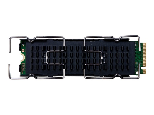 [201F5AA] HPE HP Z Turbo Drive - SSD - 1 TB - intern - PCIe 4.0 x4 - für Workstation Z2 G8, Z2 G9 (SFF, Tower)